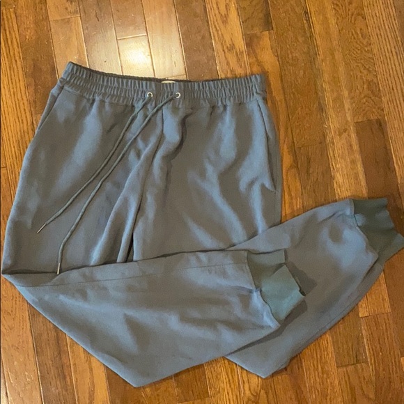 Aritzia Pants - Aritzia Wilfred Jogger Pants